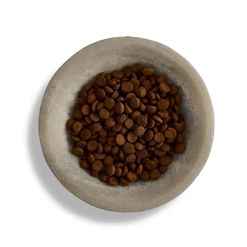 Preis Gesenkt Canagan Dental for Cats 1,5 Kilogramm Katzentrockenfutter